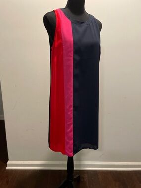 ColorBlock Minimalist Shift Dress Size4 Navy Fuschia Occasion Office Chic Modest